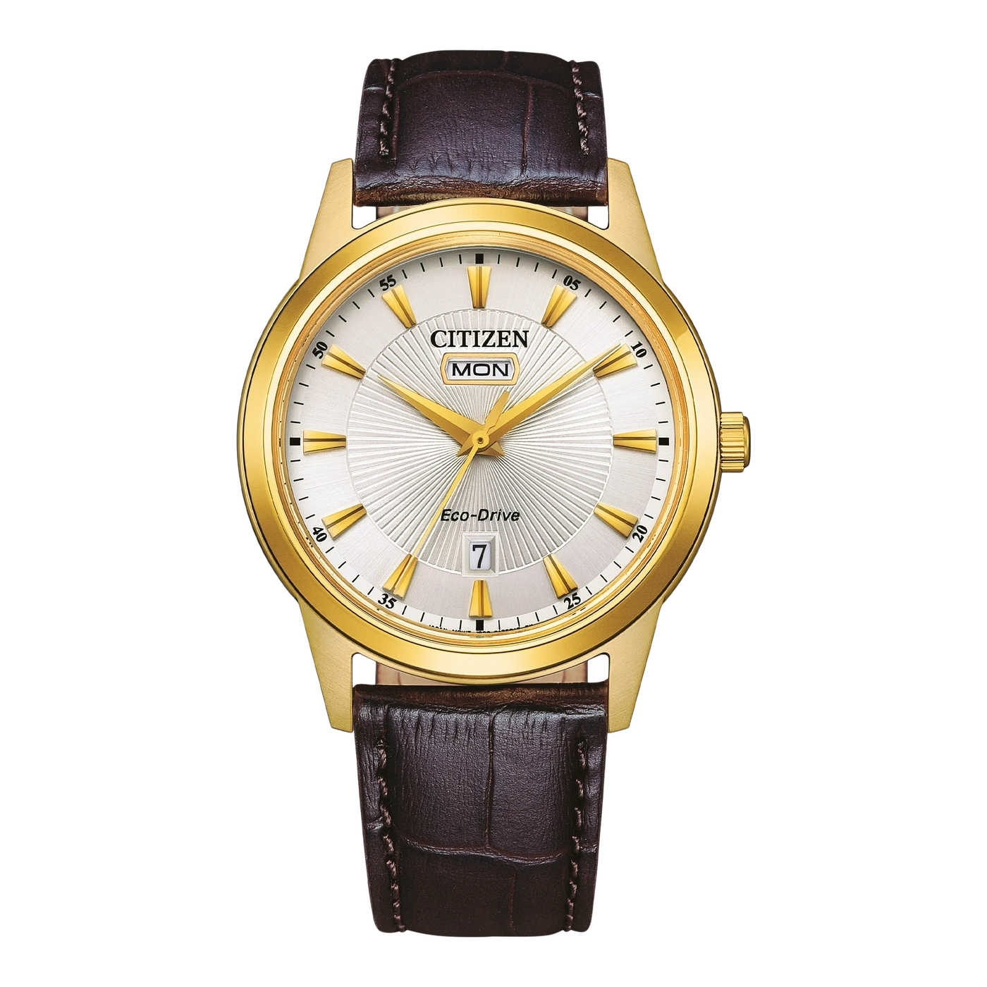 AW0102-13AC Mannelijk Leer Ivoor ø 40mm