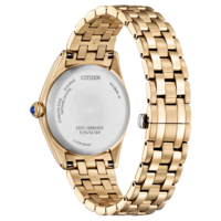 EM1143-81X Citizen L