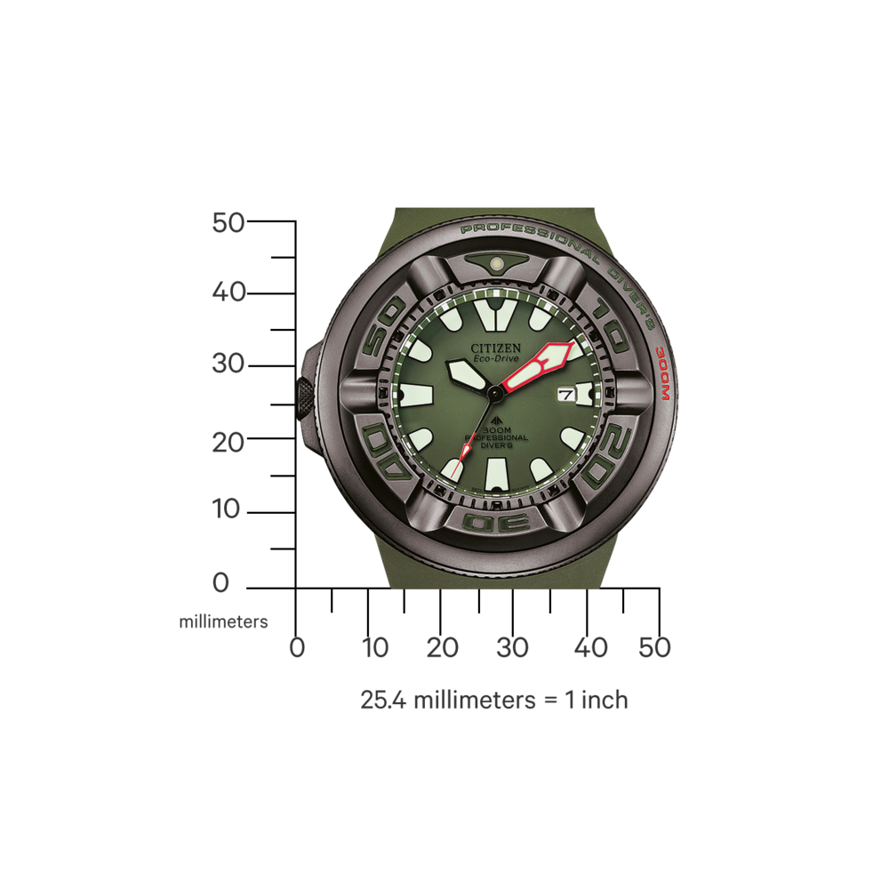BJ8057-17X Promaster Professional Diver 300