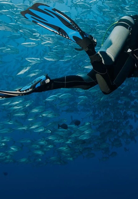 Duiker zwemt met vissen in de oceaan, blauwe vinnen en duikuitrusting