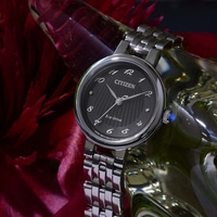 Citizen horloge met zwarte wijzerplaat, zilveren band en Eco-Drive technologie.