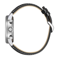 CA4720-01X Mannelijk Leer groen ⌀ 42mm