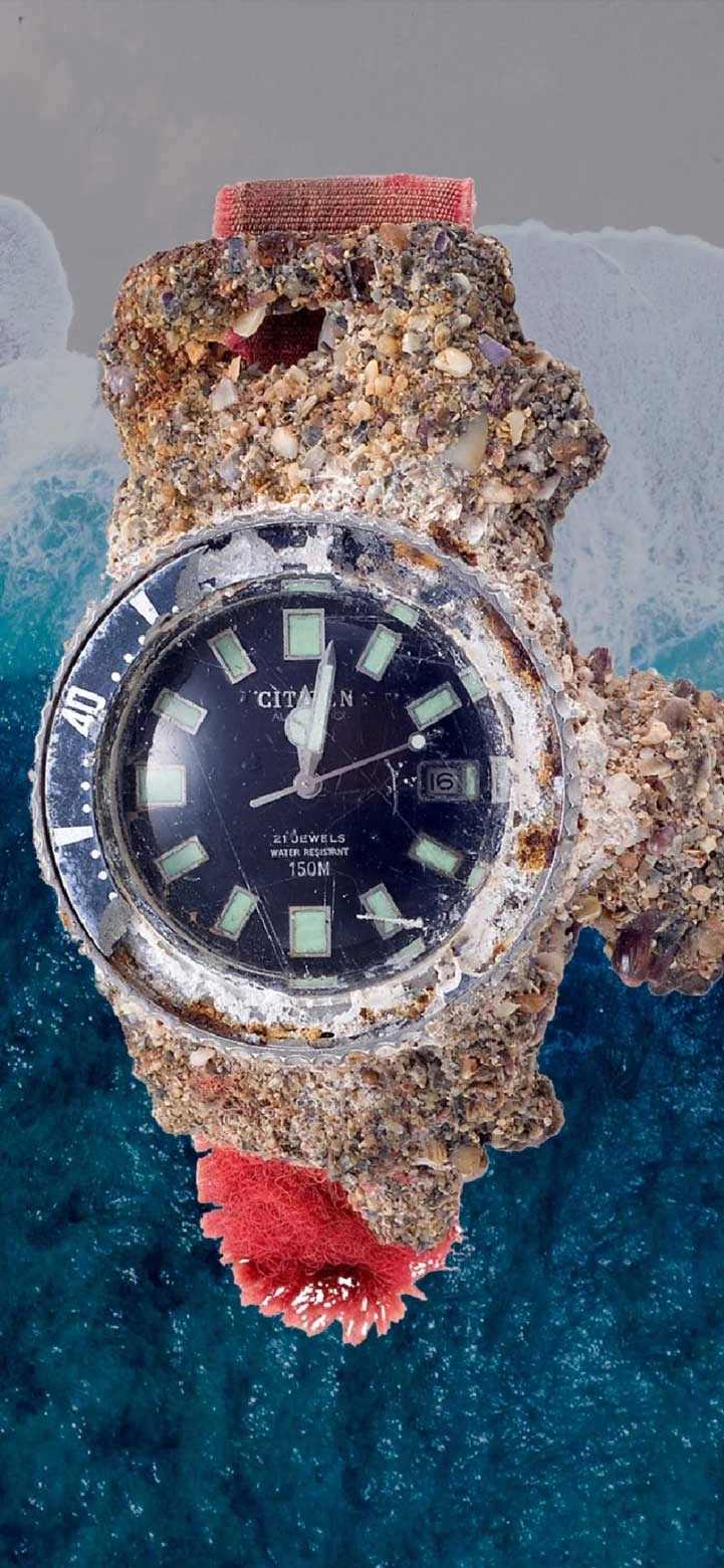 Citizen-horloge bedekt met zeeleven, met tijd en datum.