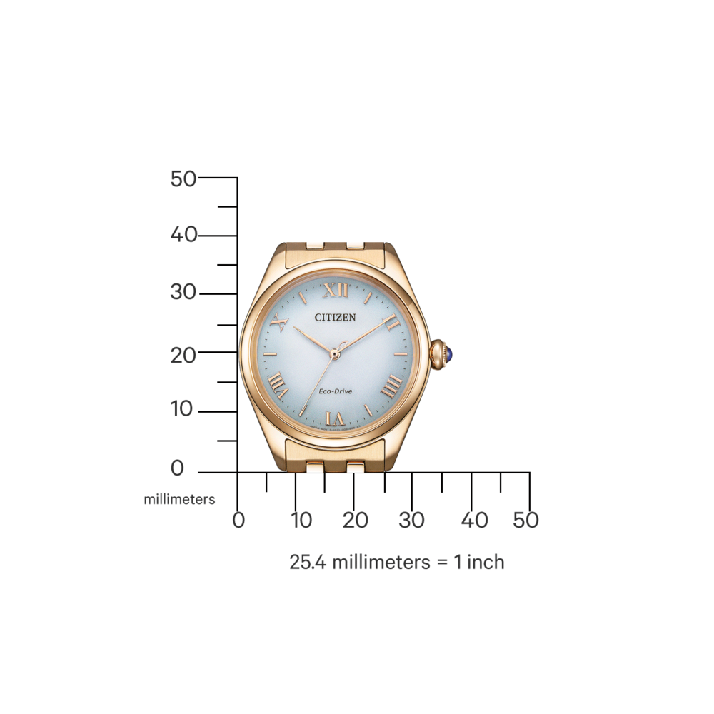 EM1143-81X Citizen L