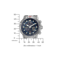 JY8100-80L Promaster Skyhawk