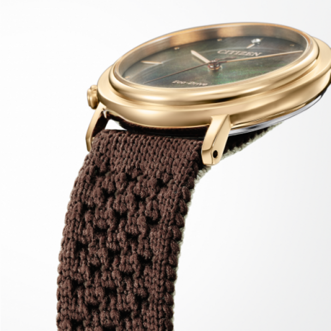 Close-up van een gouden horloge met een bruine geweven band, Citizen Eco-Drive.