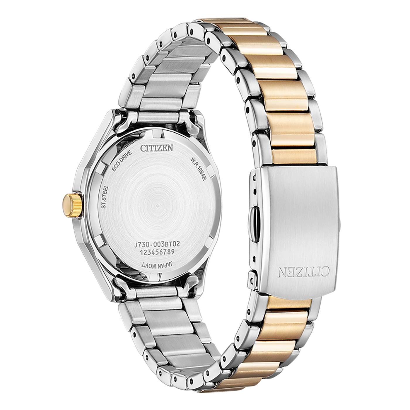 Citizen horlogerug, roestvrij staal en goud, Eco-Drive, Japanse uurwerk, W.R. 10bar