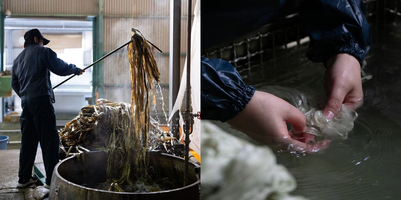 Man werkt met zeewier in fabriek, industrieel wasproces.