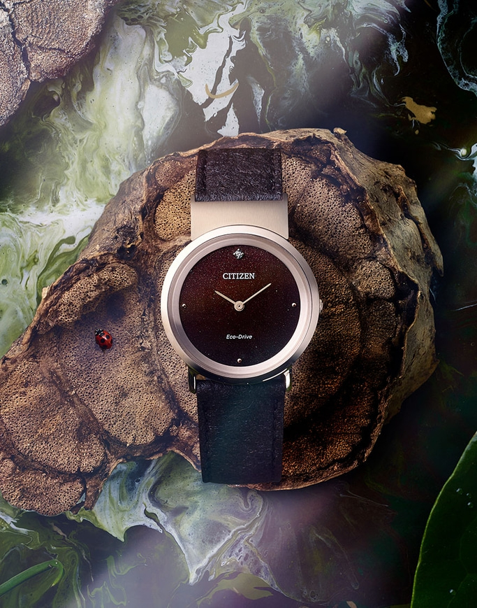 A stylish Citizen Eco-Drive watch rests on a textured surface with a ladybug, surrounded by a blend of earthy and vibrant colors, creating an artistic and natural aesthetic.

