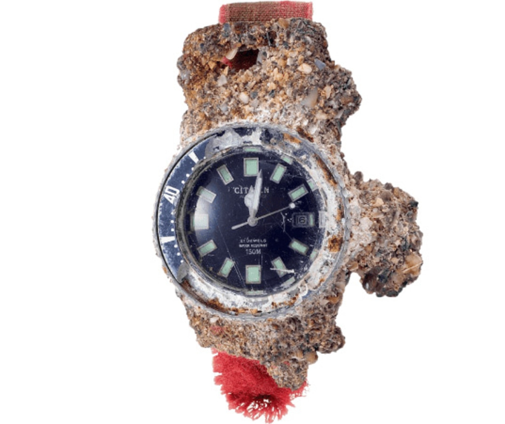 Een verweerde Citizen-horloge, ingekapseld in een rotsachtige substantie, met een zwarte wijzerplaat.