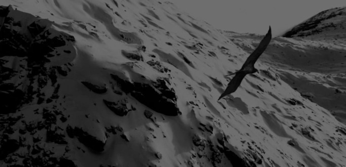 Een vogel die zweeft over een besneeuwde bergketen in zwart-wit.