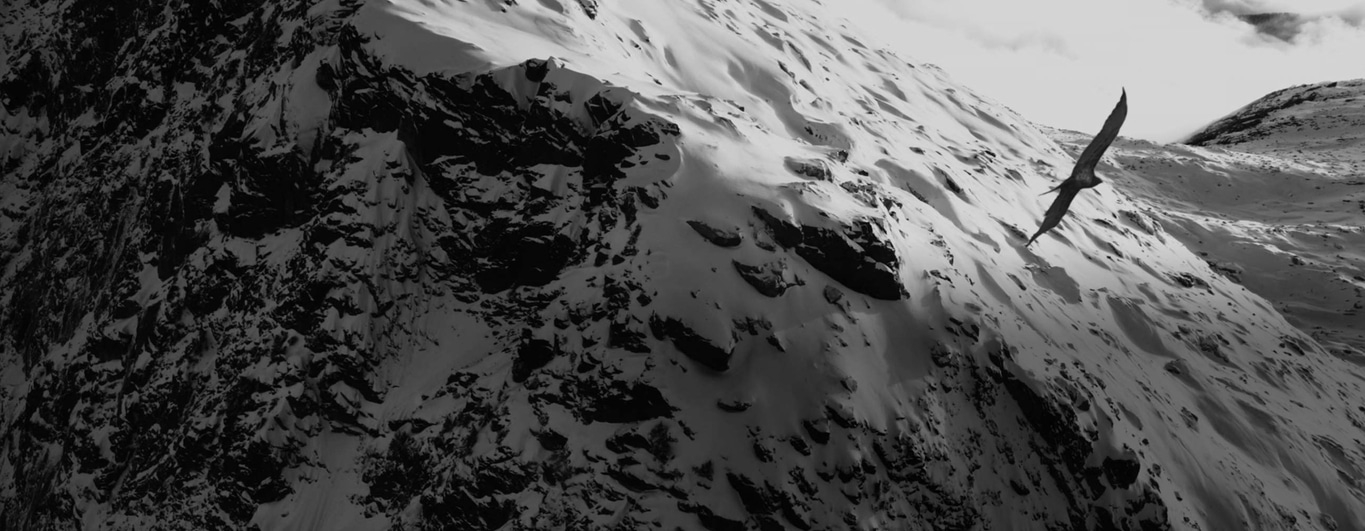 Zwart-wit afbeelding van een vogel die over een besneeuwde bergketen vliegt.