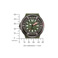 BJ8057-17X Promaster Professional Diver 300