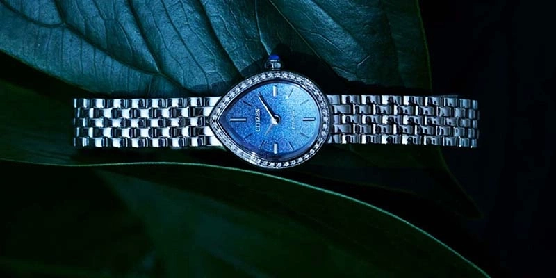 Een zilveren horloge met blauwe wijzerplaat op een groen blad