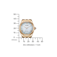 EM1143-81X Citizen L