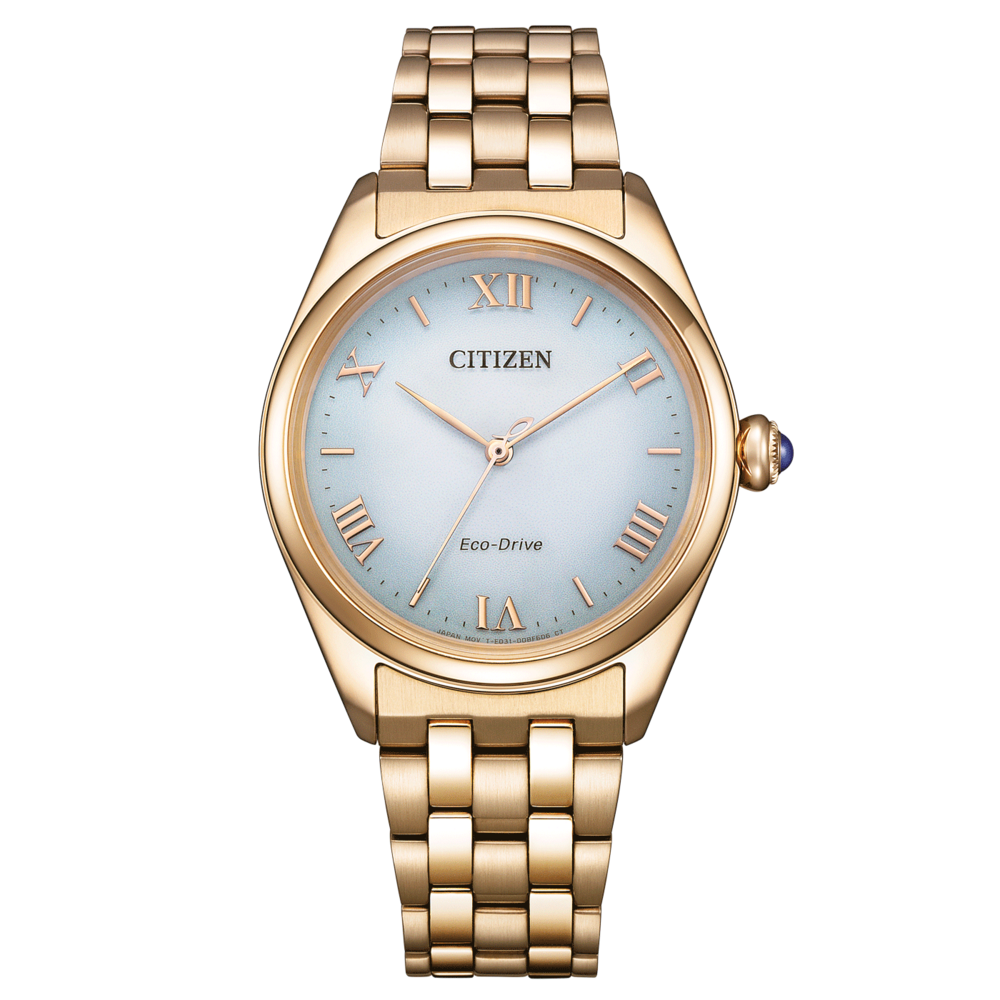EM1143-81X Citizen L