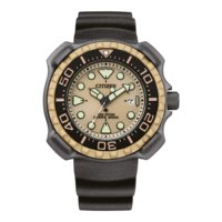 BN0226-10P Promaster Eco-Drive Diver