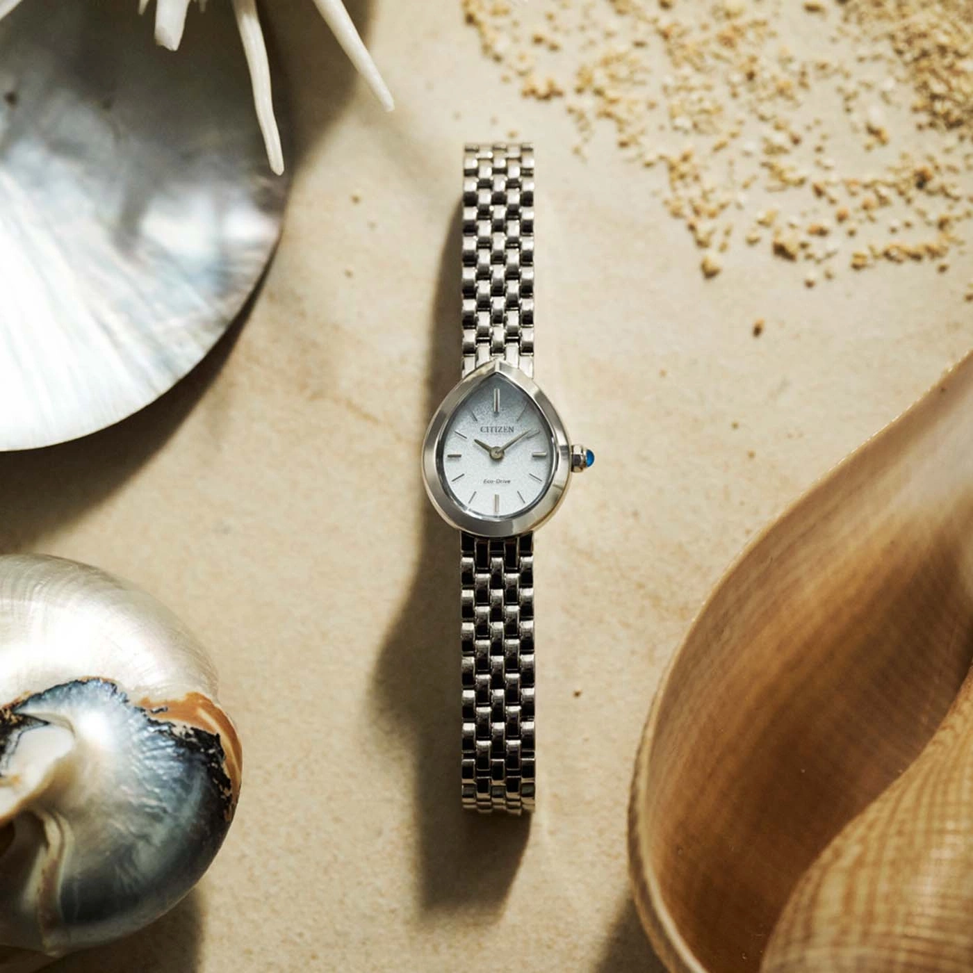 Een Citizen Eco-Drive horloge op een zandstrand met schelpen.