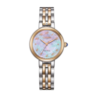 EM0996-84Y