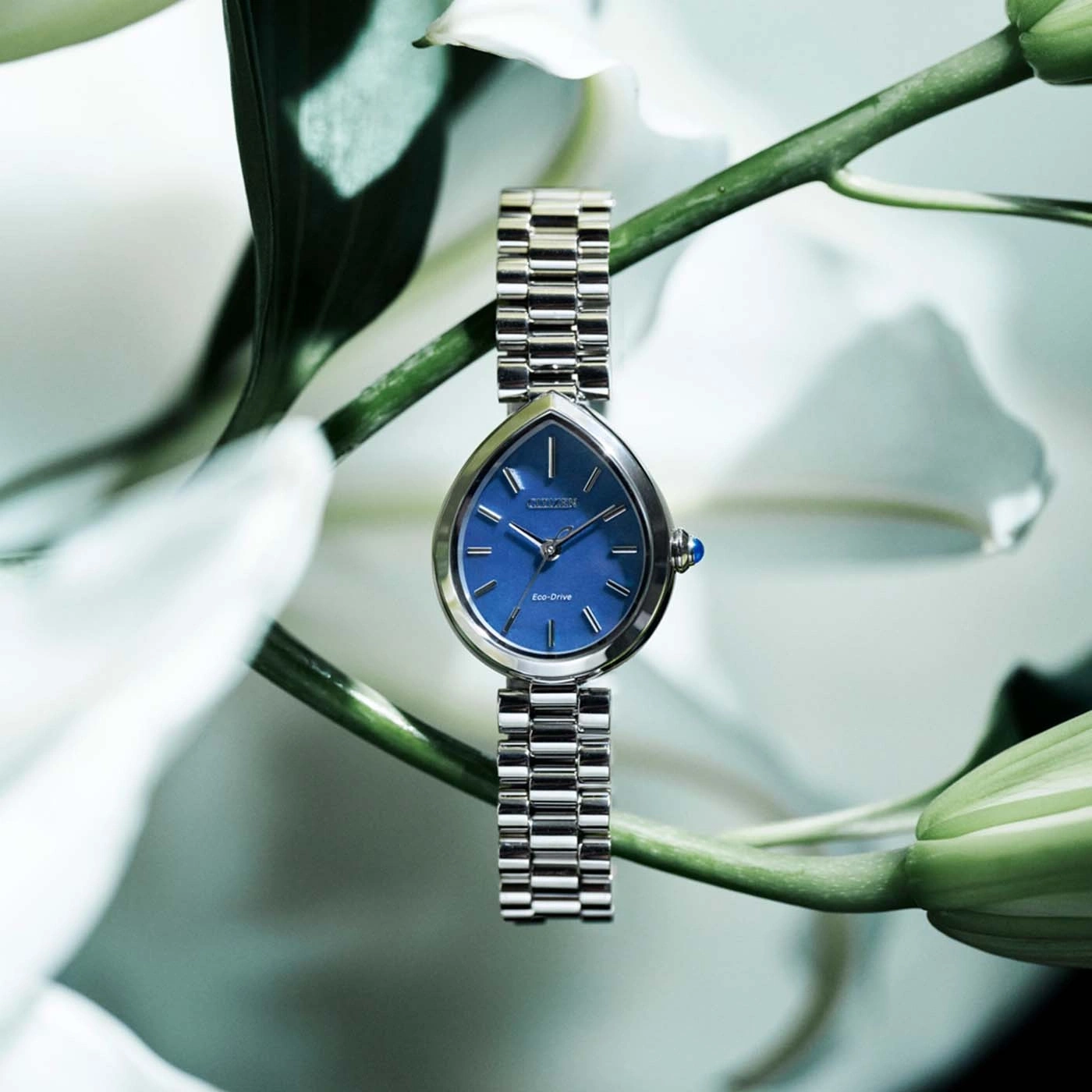 Een blauw Citizen Eco-Drive horloge met zilveren band rust op een groene stengel omringd door witte bloemen.